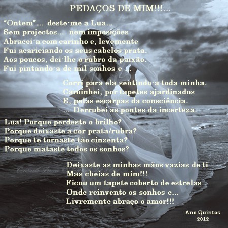 Pedaços de Mim